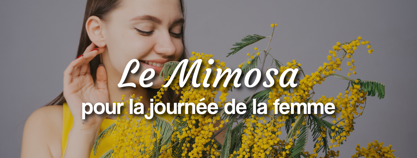 le jour du droit des femmes avec du mimosa