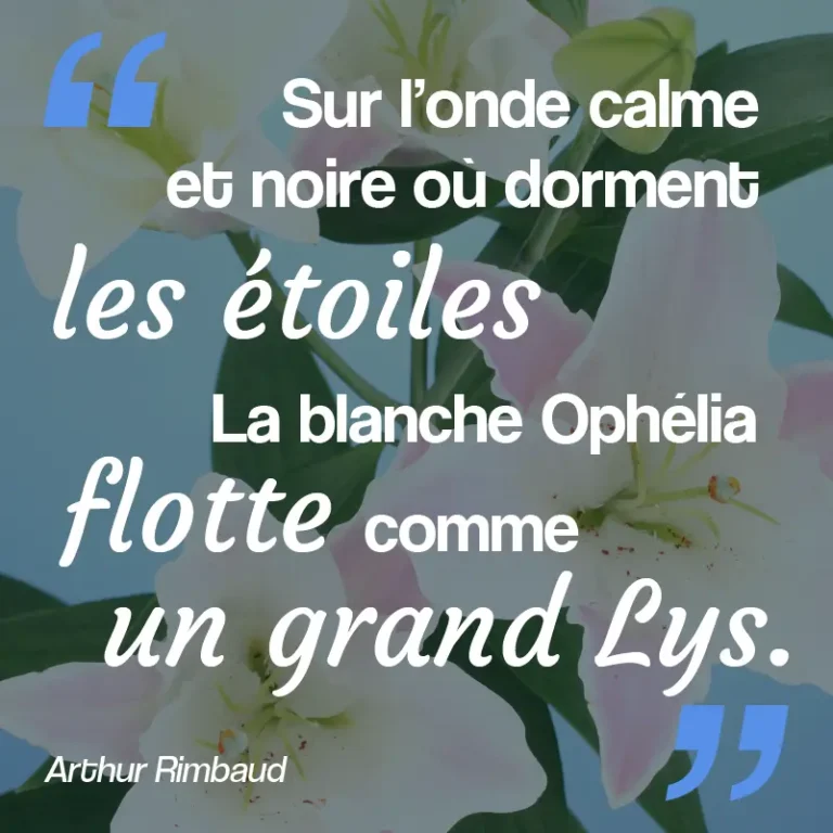 citation sur la fleur de Lys