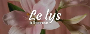 lys en bouquet en livraison en France