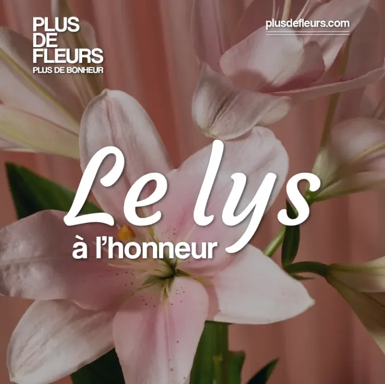 lys en bouquet en livraison en France