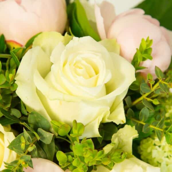 Poésie de Pivoines - Bouquet rond