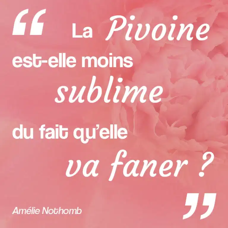 citation pivoine