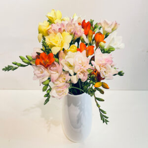 freesia de toutes les couleurs