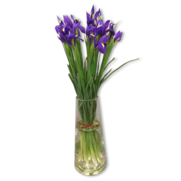 commandez un bouquet d'iris mauve
