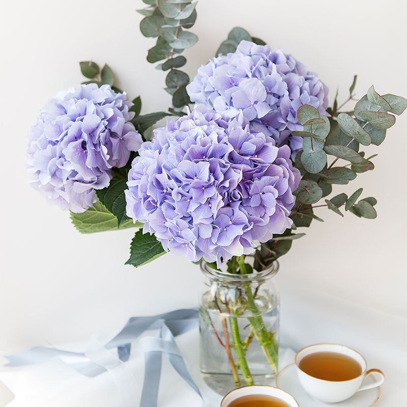 hydrangea bouquet