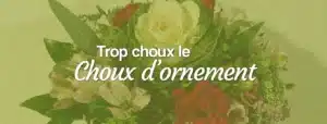 choux d'ornement dans les bouquets de fleurs