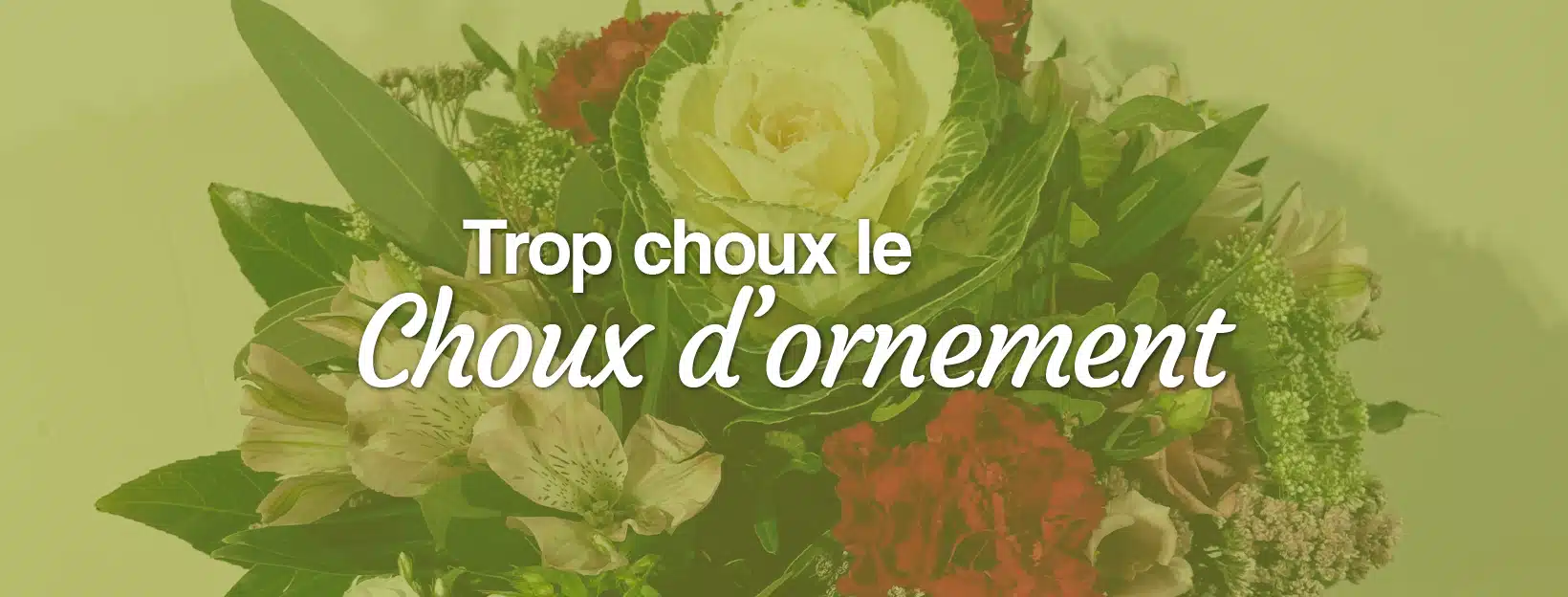 choux d'ornement dans les bouquets de fleurs