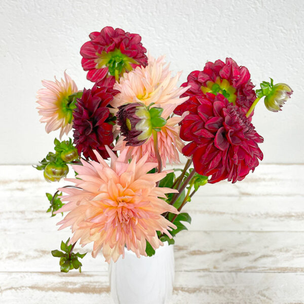 Bouquet de Dahlias multicolores automne en livraison en France