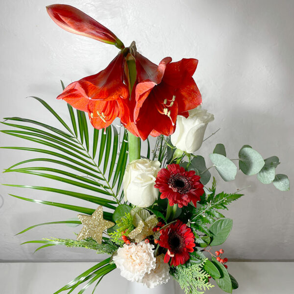 Amaryllis étoilé bouquet en hauteur Noël