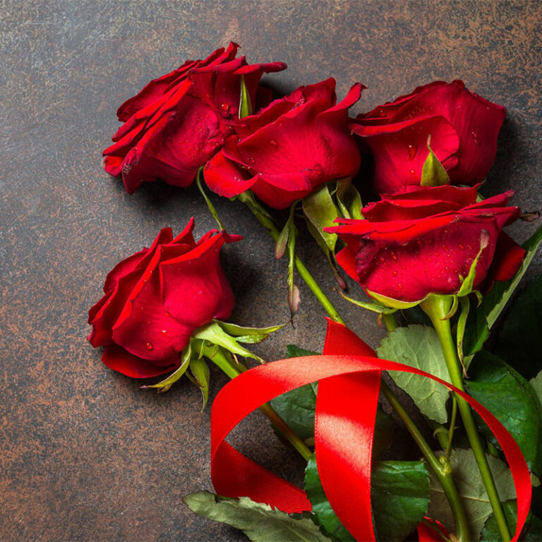 cadeau de roses rouges
