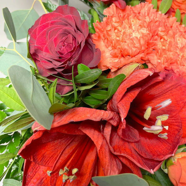 Jardin d'amaryllis bouquet rond rouge noel