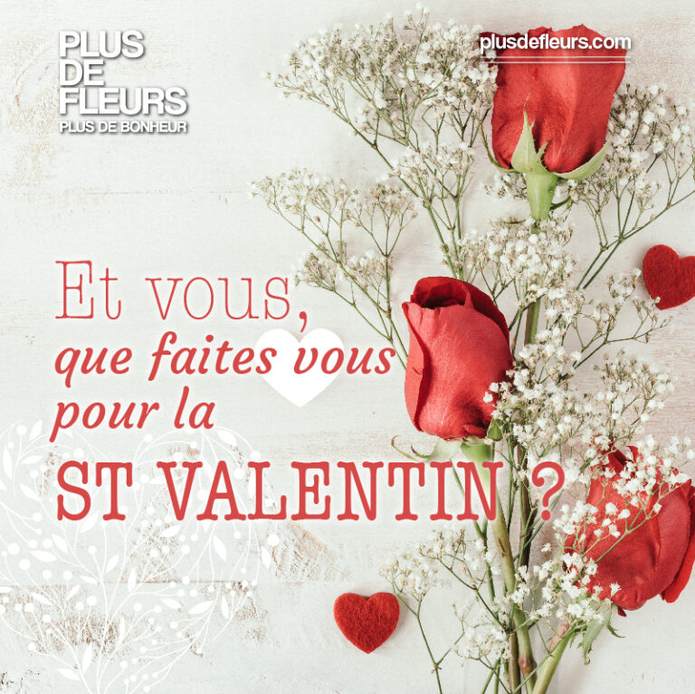 et vous que faites vous pour la st valentin ?