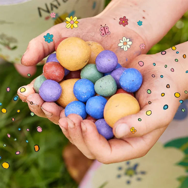 bombes de fleurs à planter