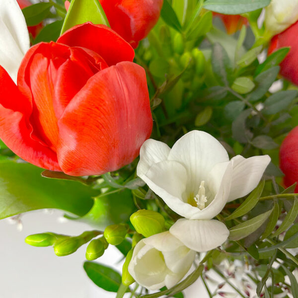 Le tulipe freesia, bouquet champêtre rouge et blanc du printemps