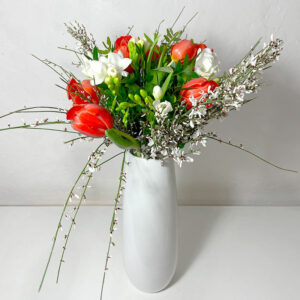 Le tulipe freesia, bouquet champêtre rouge et blanc du printemps