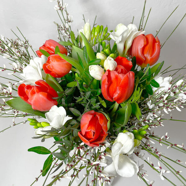 Le tulipe freesia, bouquet champêtre rouge et blanc du printemps