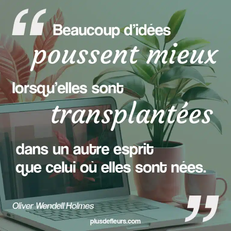 Citation sur le travail d'équipe plante Journée des Collègues