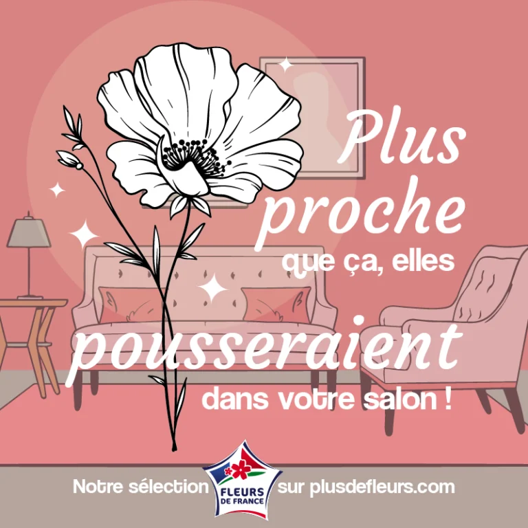 Plus proche que ça les fleurs pousseraient dans votre salon