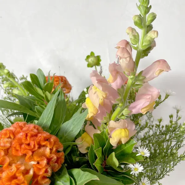 Le Muflier dans le bouquet champêtre "Flamboyante Mérida"
