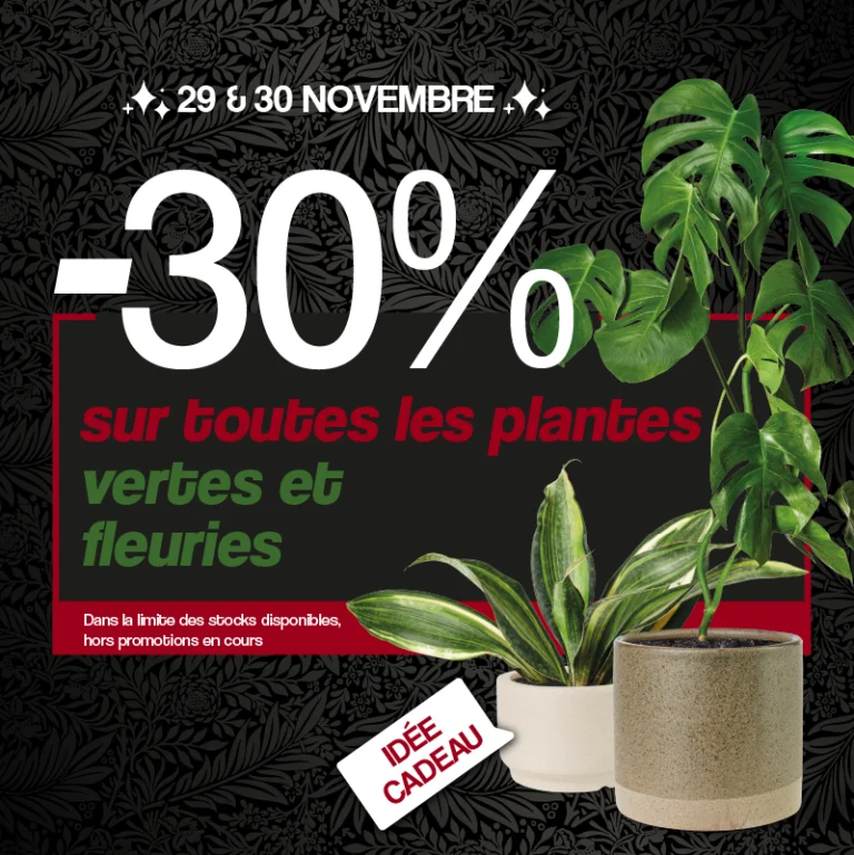 black friday plante addict offre -30%