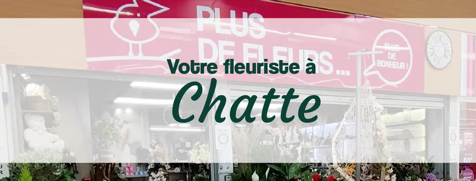 votre fleuriste à proximité à Chatte St Marcellin