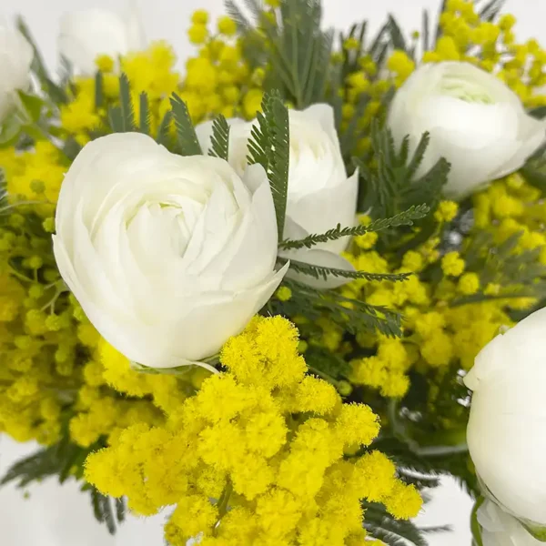 bouquet renoncule mimosa lumière hiver